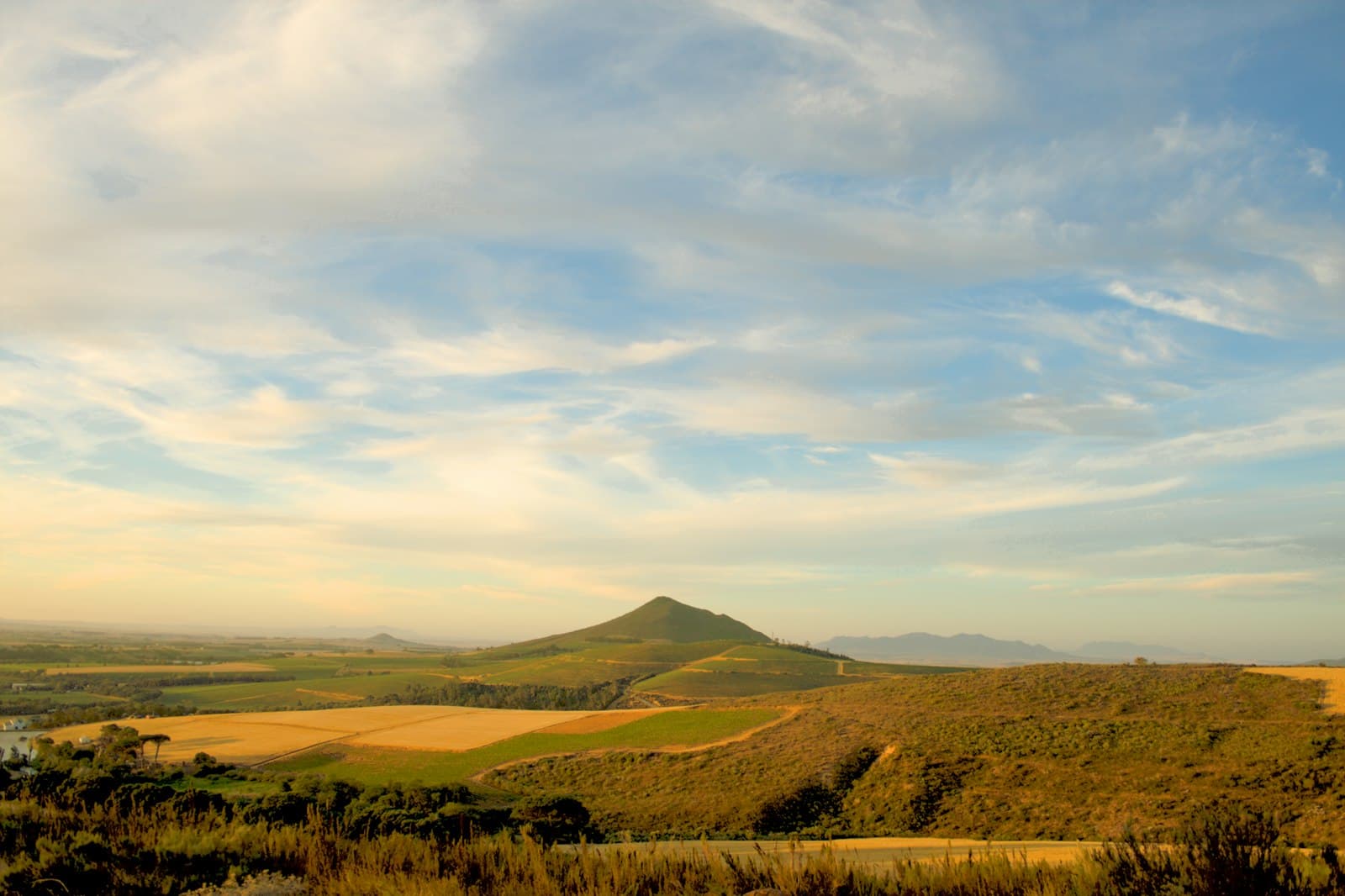 Stellenbosch winelands